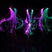 13532098_1276307195713602_286692172_n